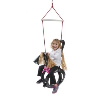 M&M Sales Enterprises Inc Pony Pal Tire Swing