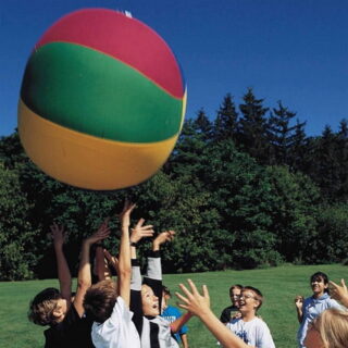 Nylon Cageball Covers, 60"