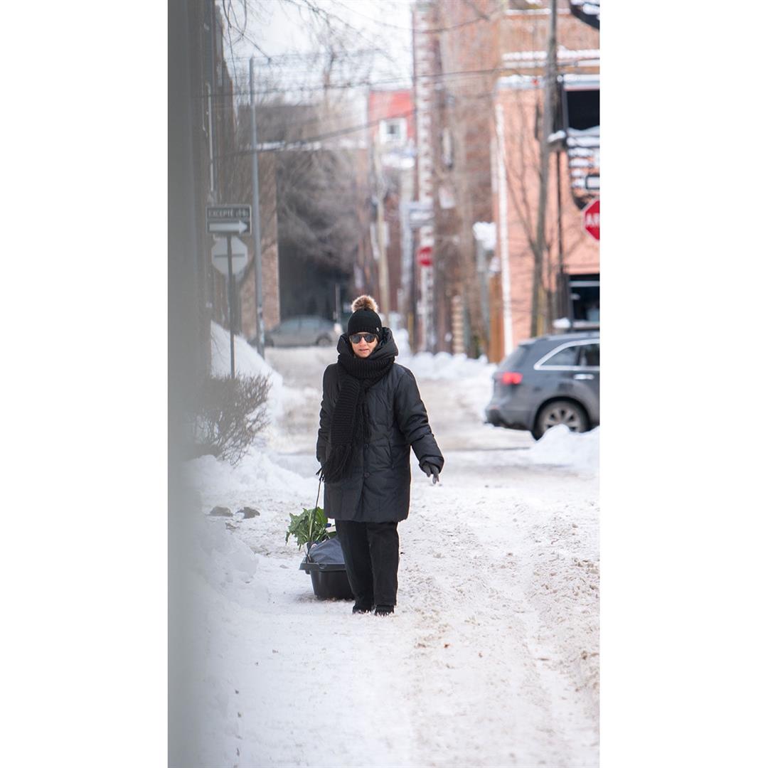 Pelican - Trek 45 Utility Sled - Image 2