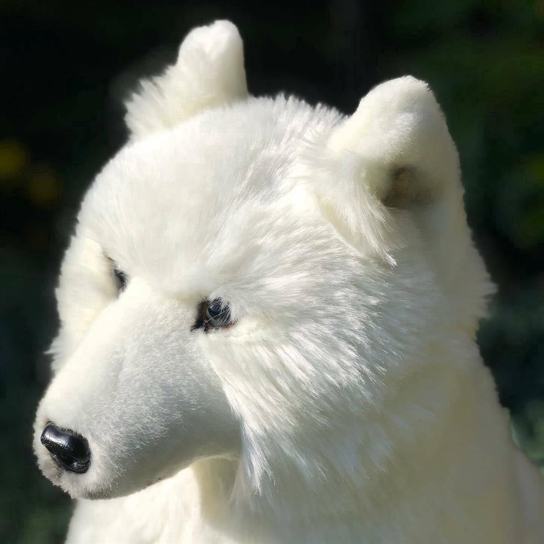 auswella-plush-20-inch-sitting-artic-wolf-plush-stuffed-animal-wolf-2.jpeg