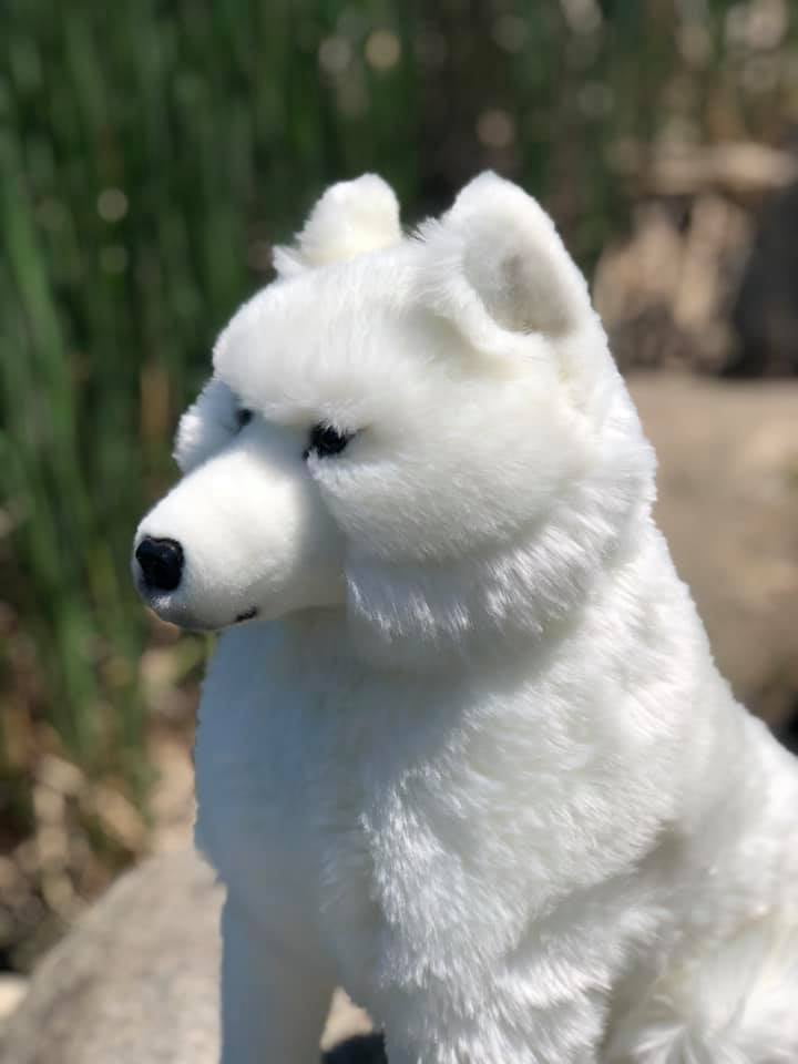 auswella-plush-20-inch-sitting-artic-wolf-plush-stuffed-animal-wolf-3.jpeg