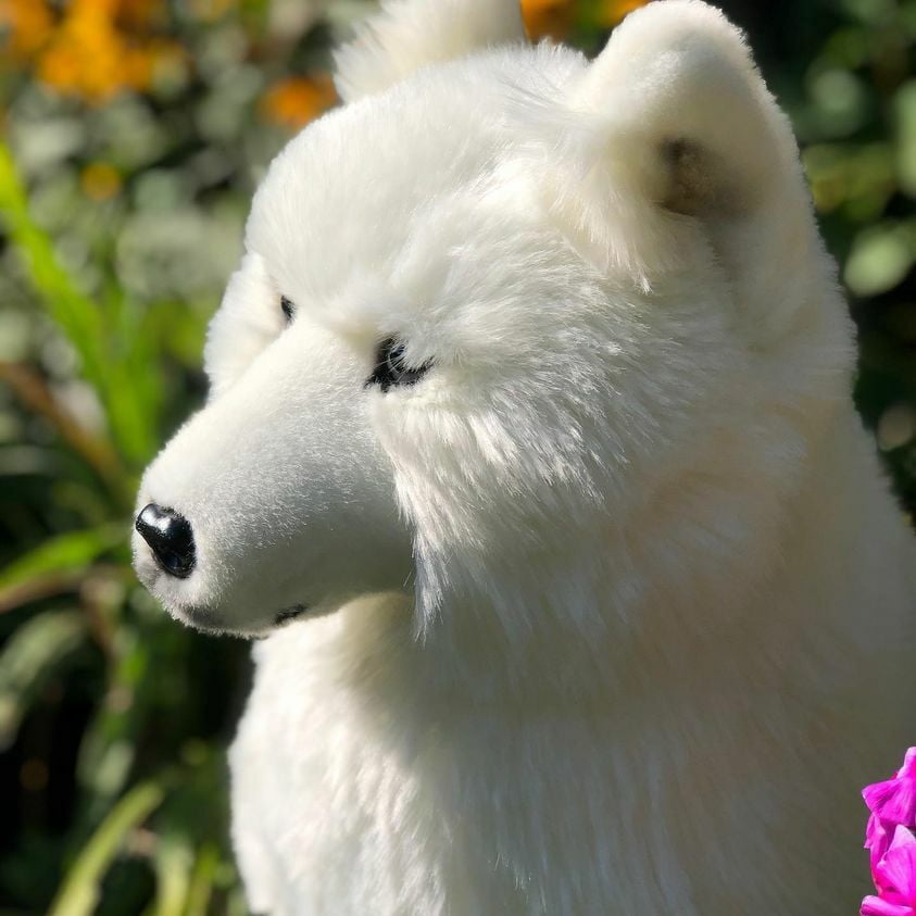 auswella-plush-20-inch-sitting-artic-wolf-plush-stuffed-animal-wolf-6.jpeg